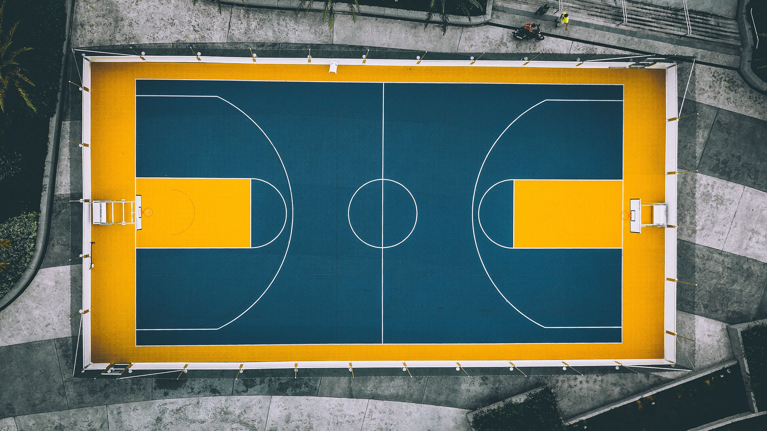 穆雷化身NBA大人物，意外改写命运|mg游戏盒子